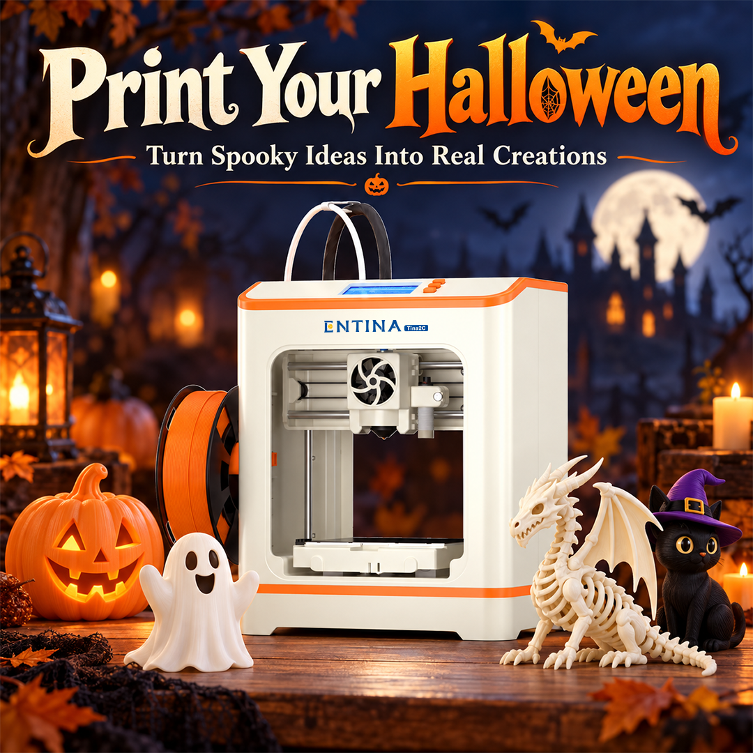 Entina Tina2C 3D Printer