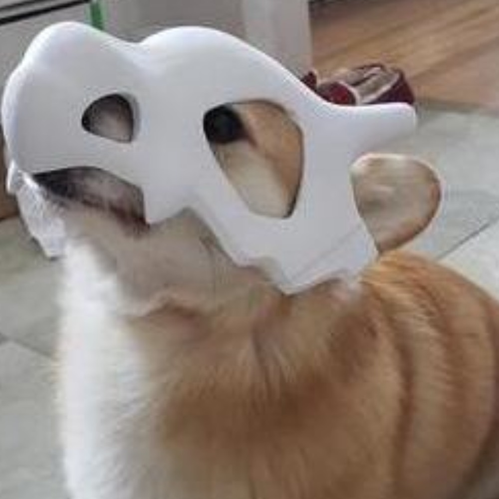 Cubone-Skull.png