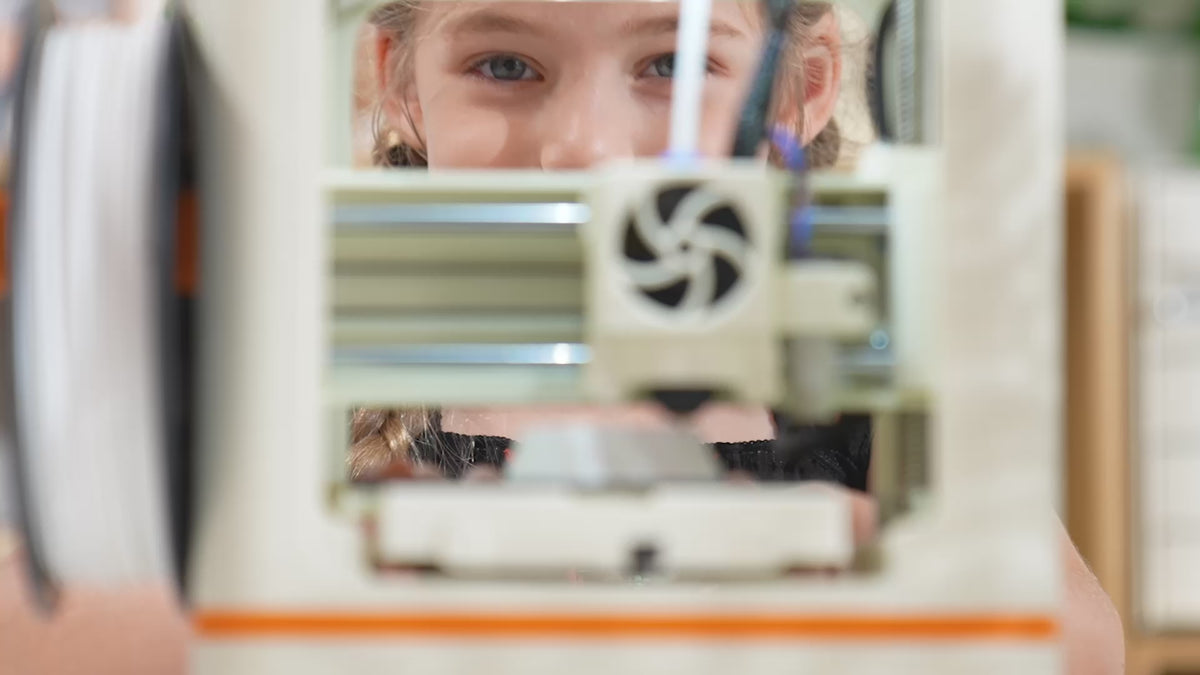 Entina Tina2C 3D Printer